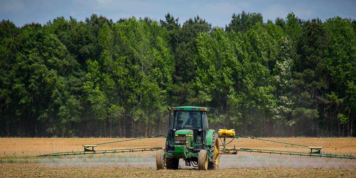 Agricoltura, la transizione ecologica ed energetica passa dall'innovazione